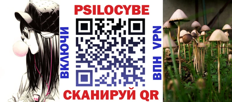 Галлюциногенные грибы Psilocybine cubensis  дарнет шоп  Щёлково 